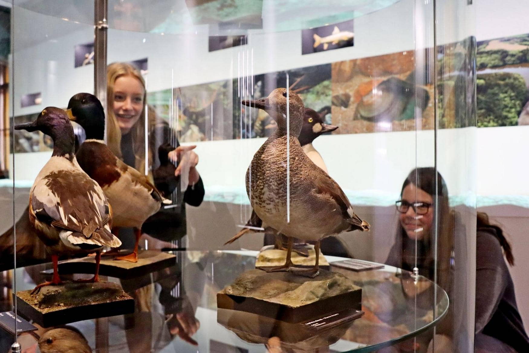 South Bohemian Museum photo 1