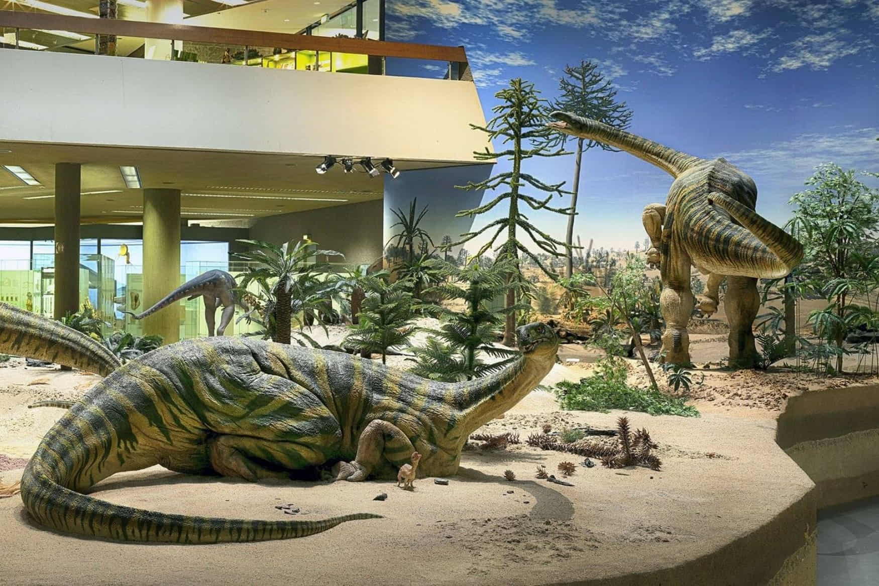 Stuttgart State Museum of Natural History photo 1