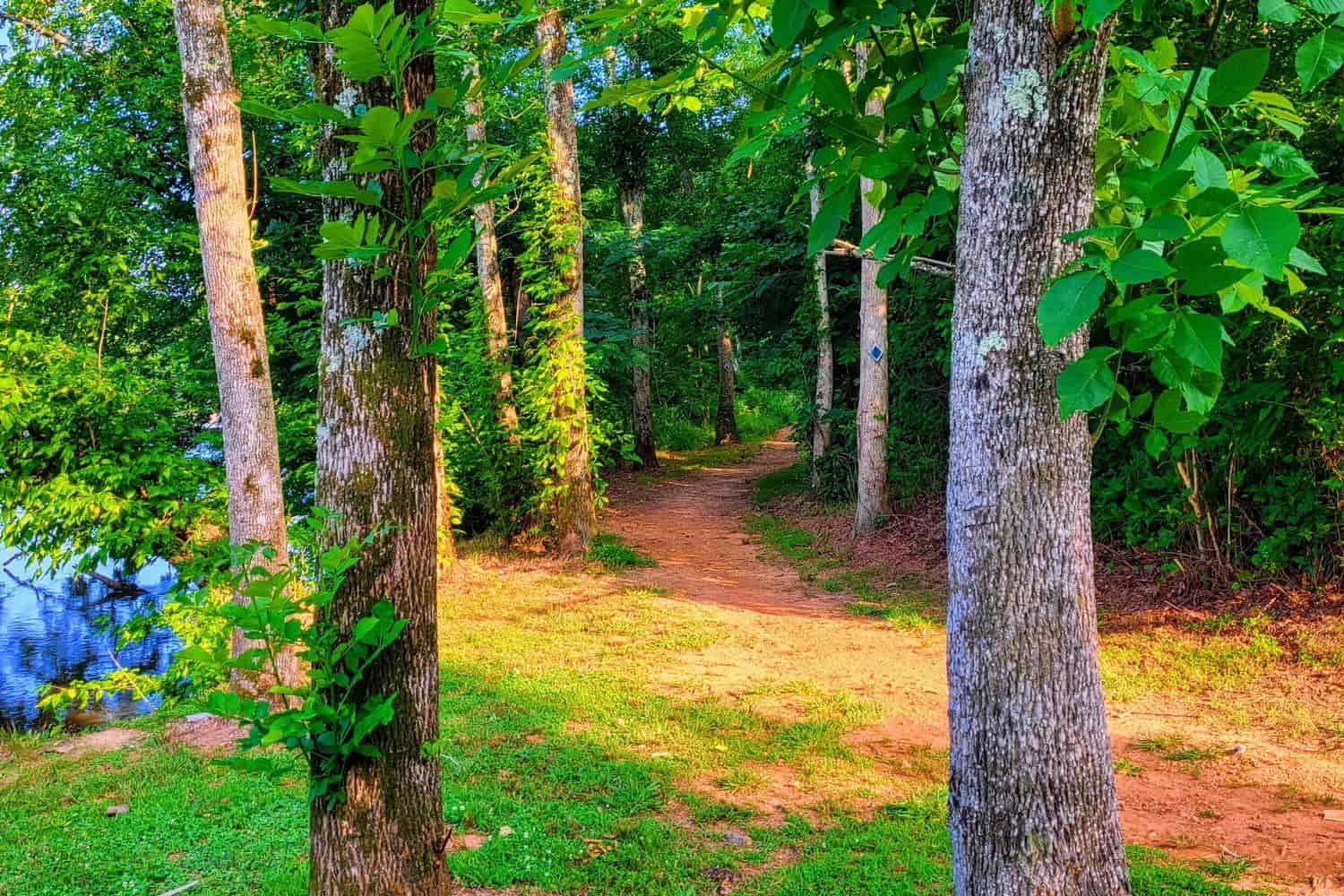 Swepsonville River Park photo 1