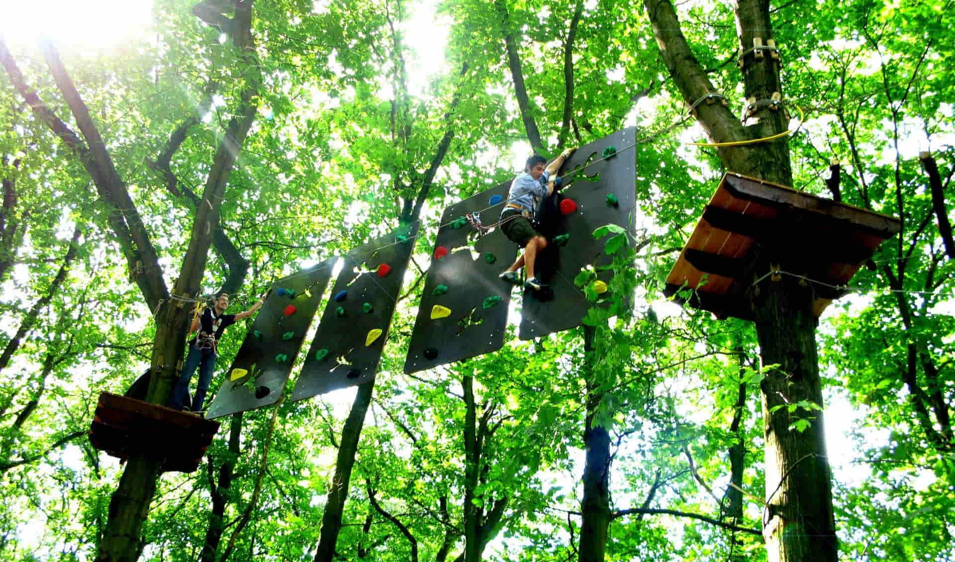 Tree2Tree Climbing Park