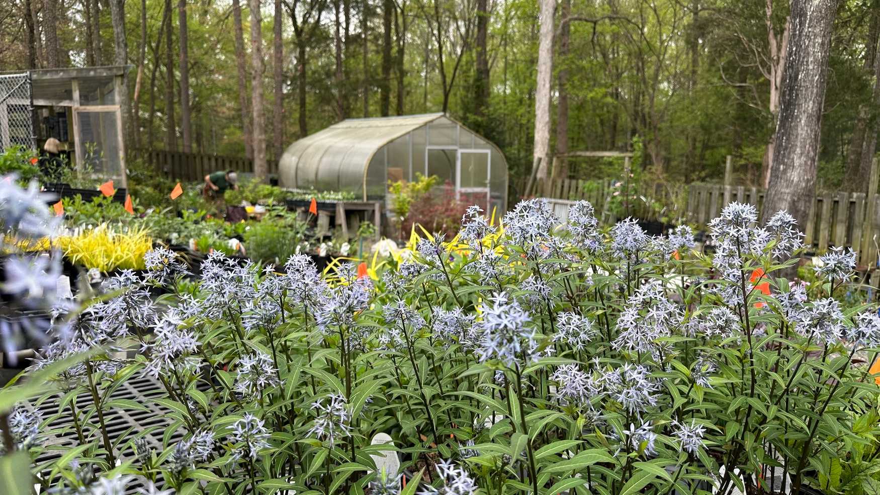 UNC Charlotte Botanical Gardens