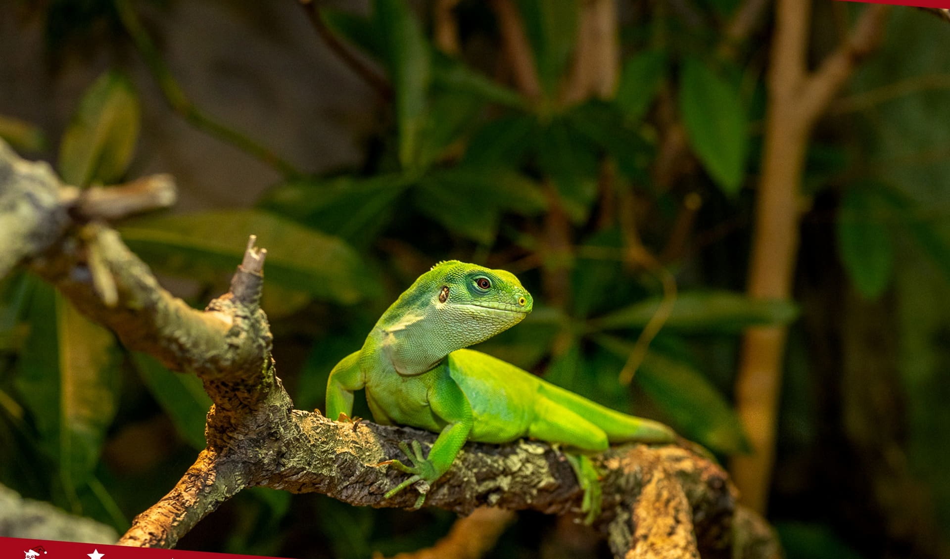 Vivarium Darmstadt