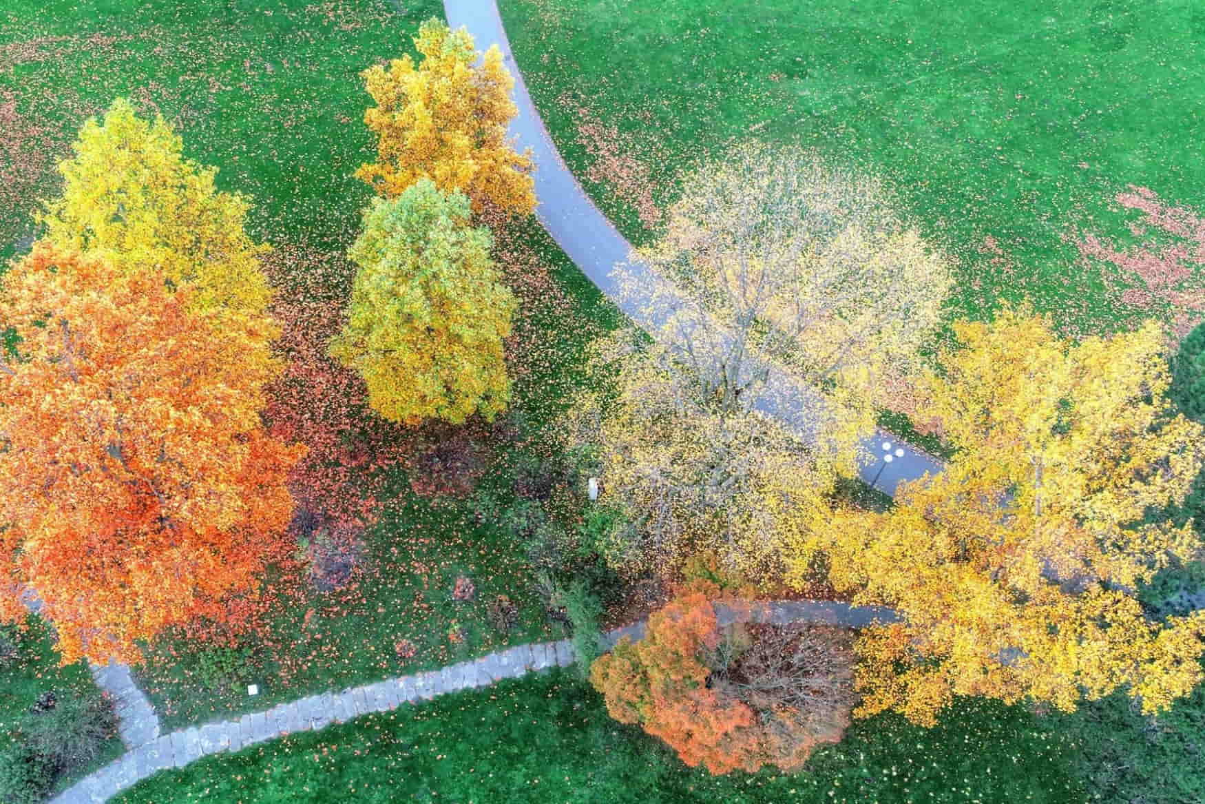 Westfalenpark photo 1