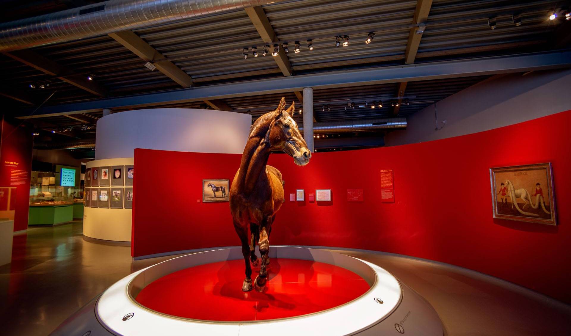 Westphalian Horse Museum