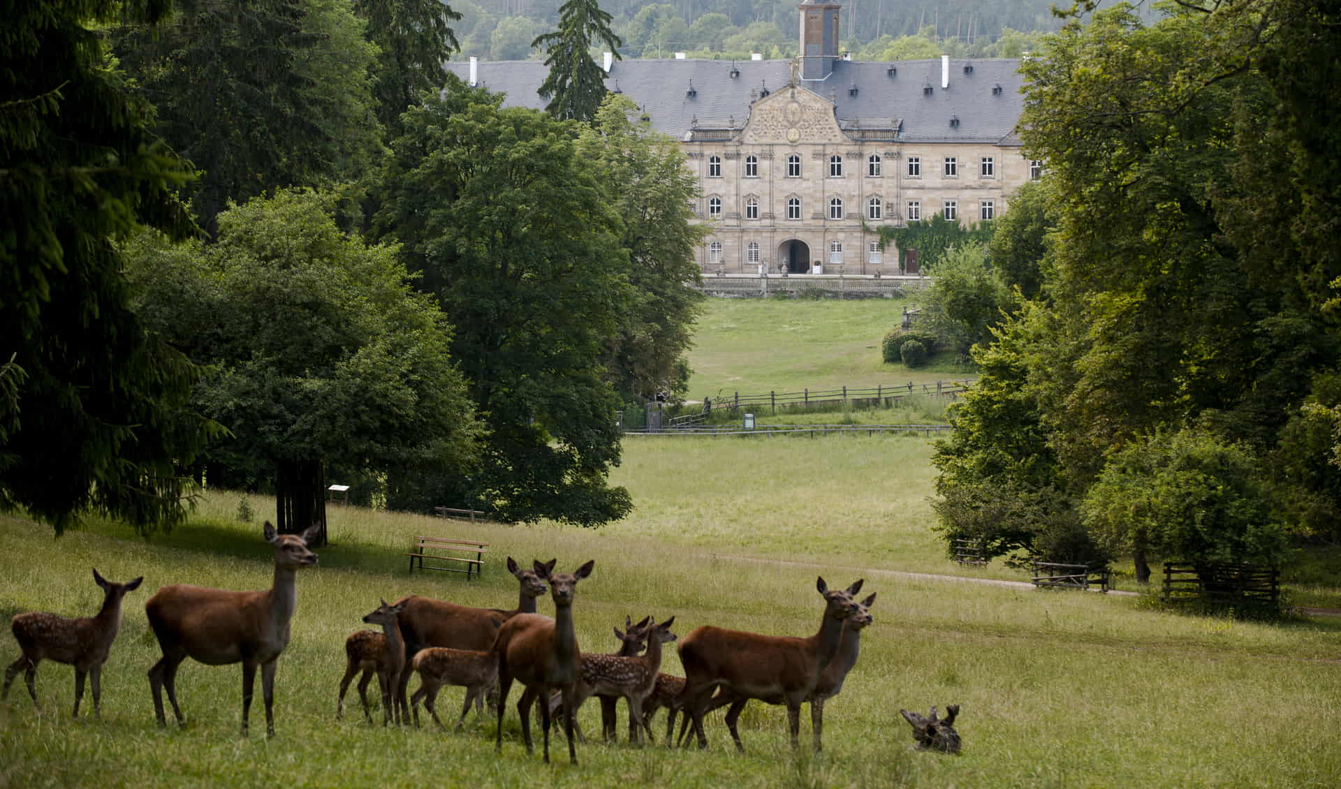 Wild Park Castle Tambach