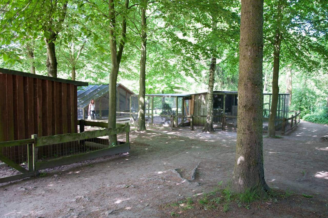 Wildpark Schwentinental photo 1