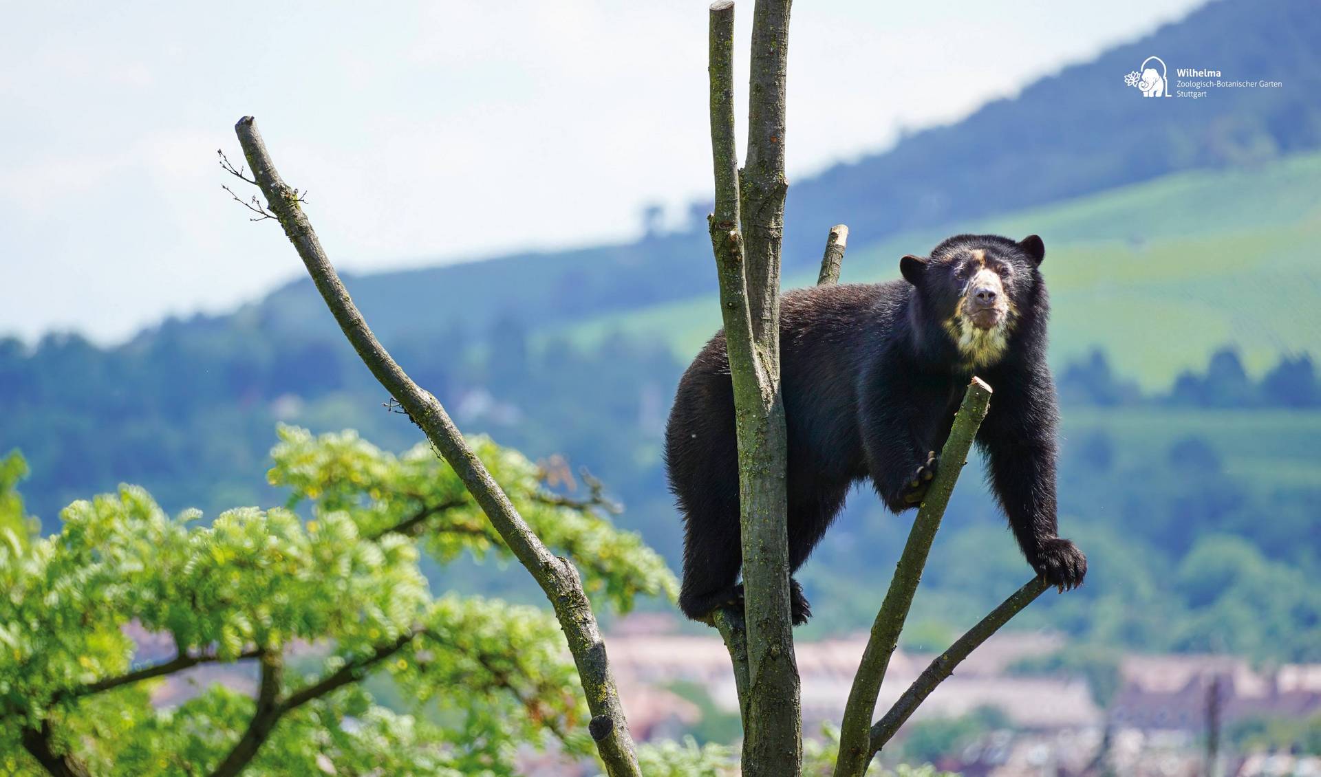 Wilhelma Zoo and Botanical Garden