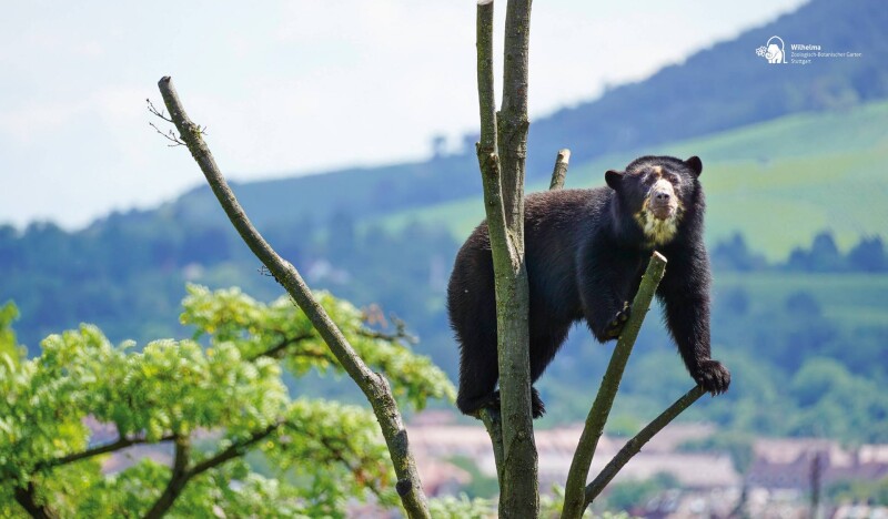 Wilhelma Zoo and Botanical Garden
