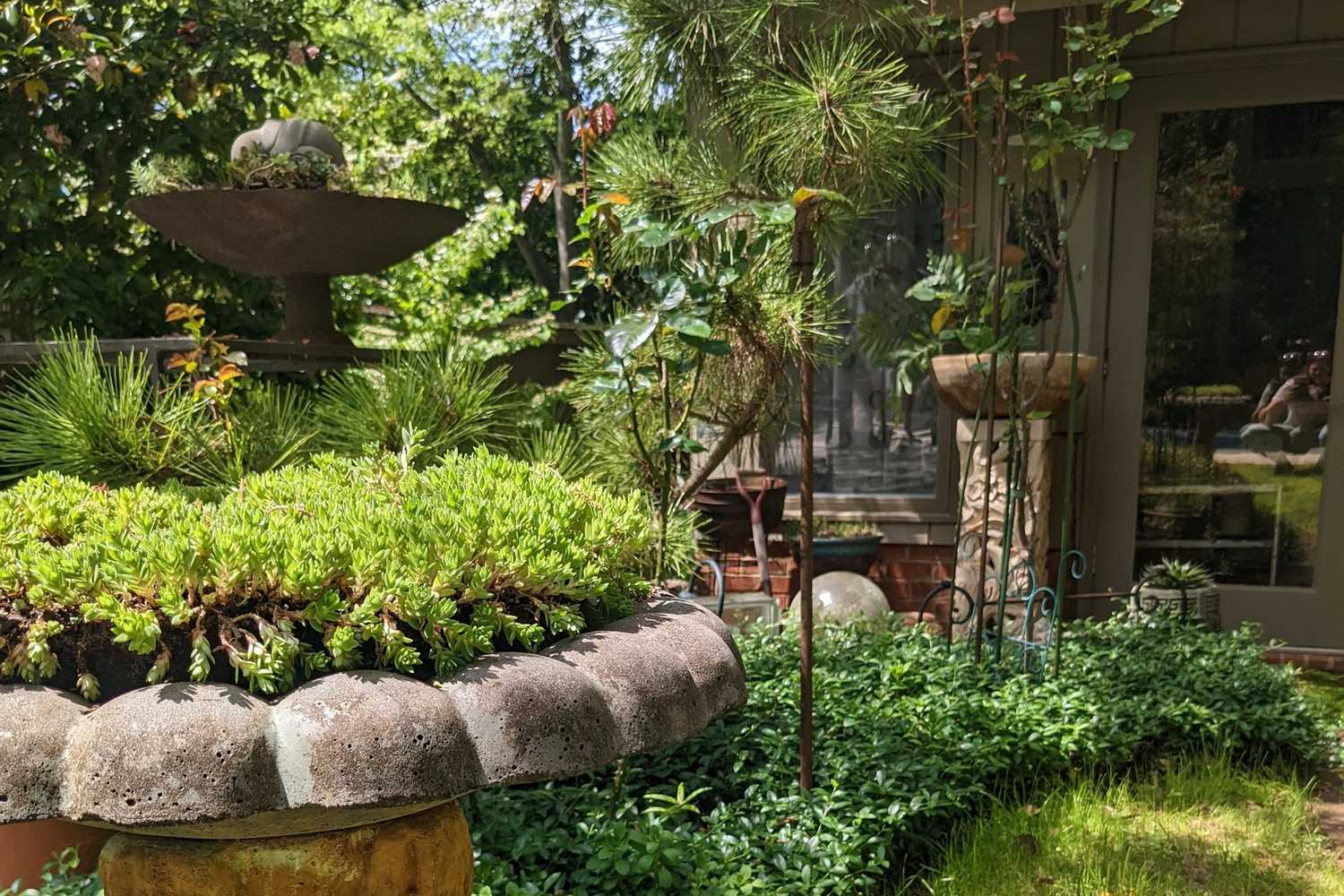 Wing Haven Gardens and Bird Sanctuary photo 1