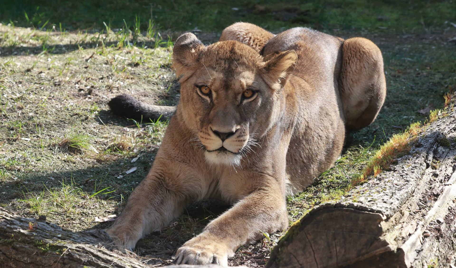 Wuppertal Zoo