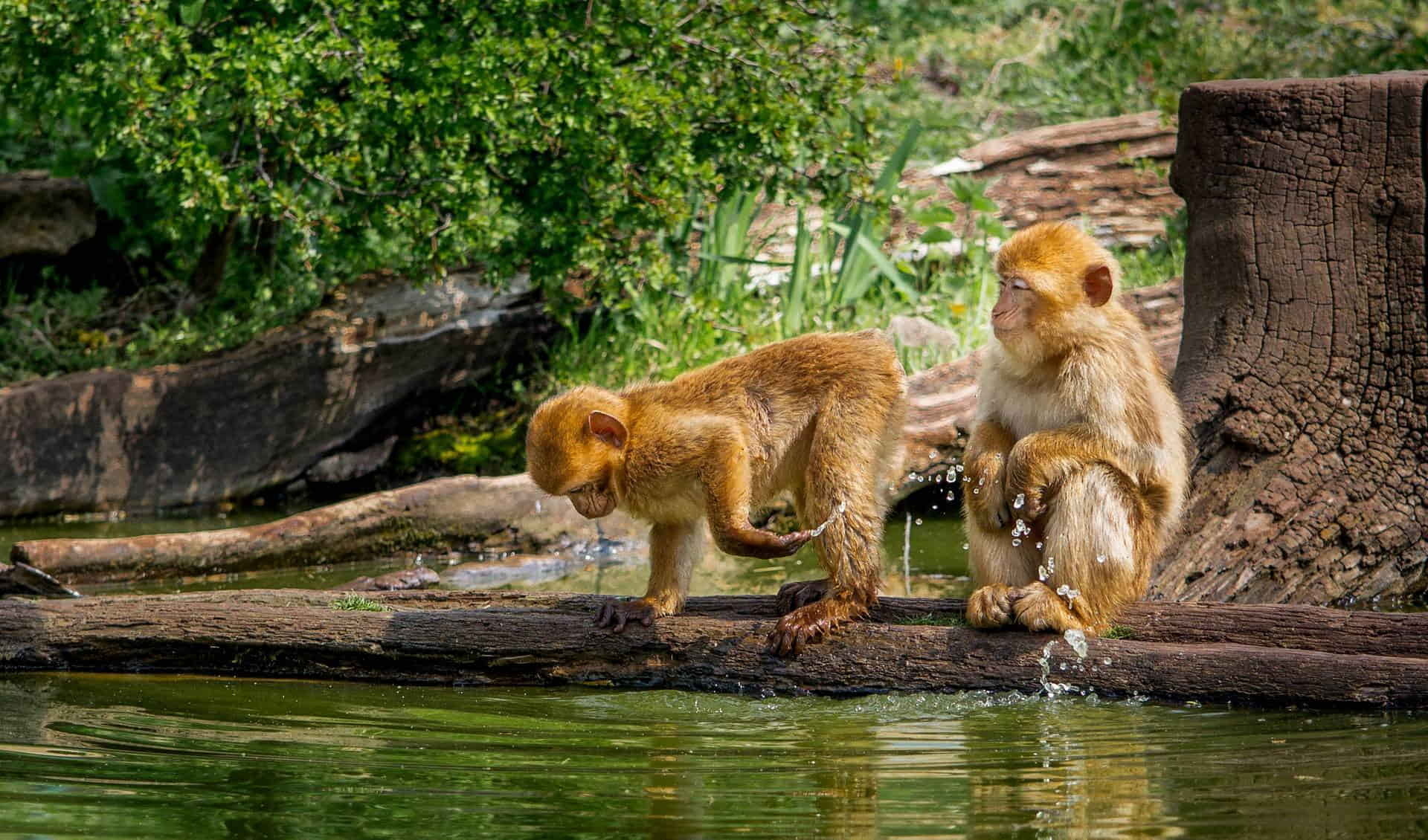 Zoo Erfurt