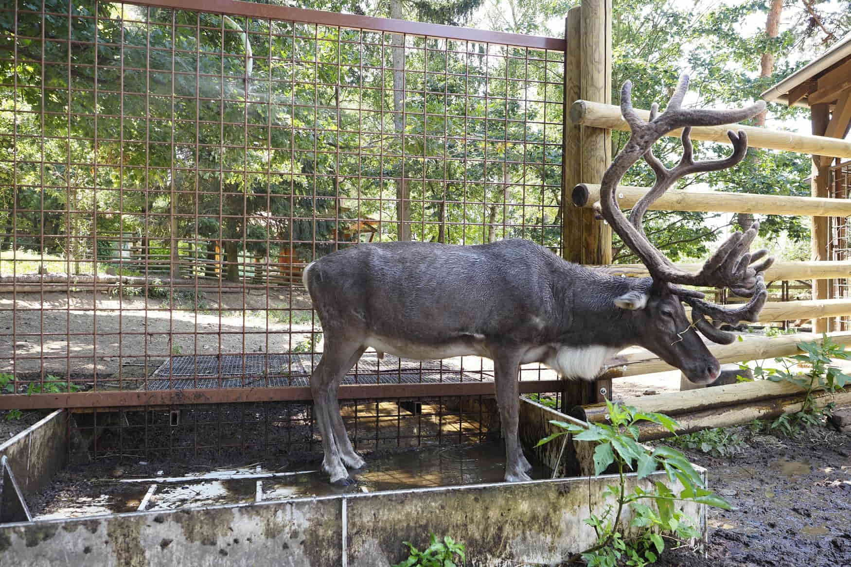 Zoo Olomouc photo 1