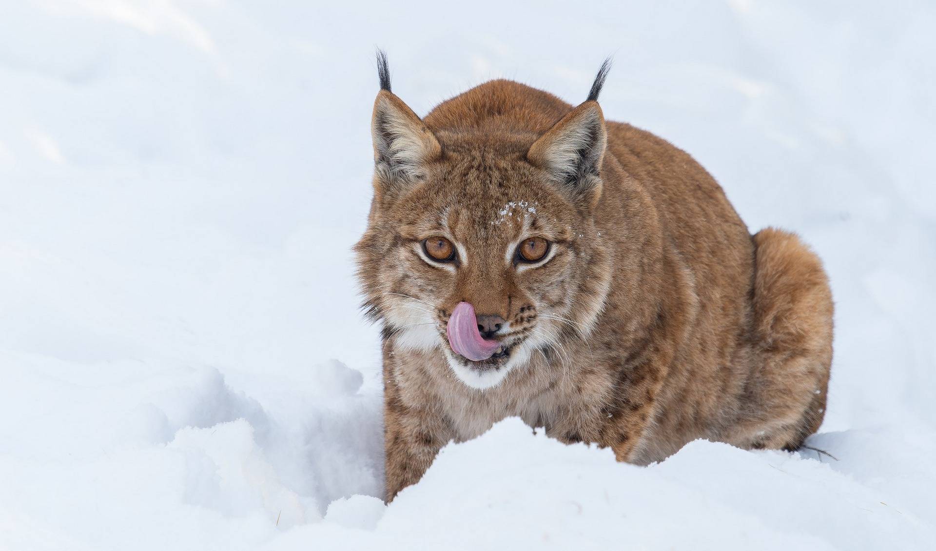 Zoo Olomouc