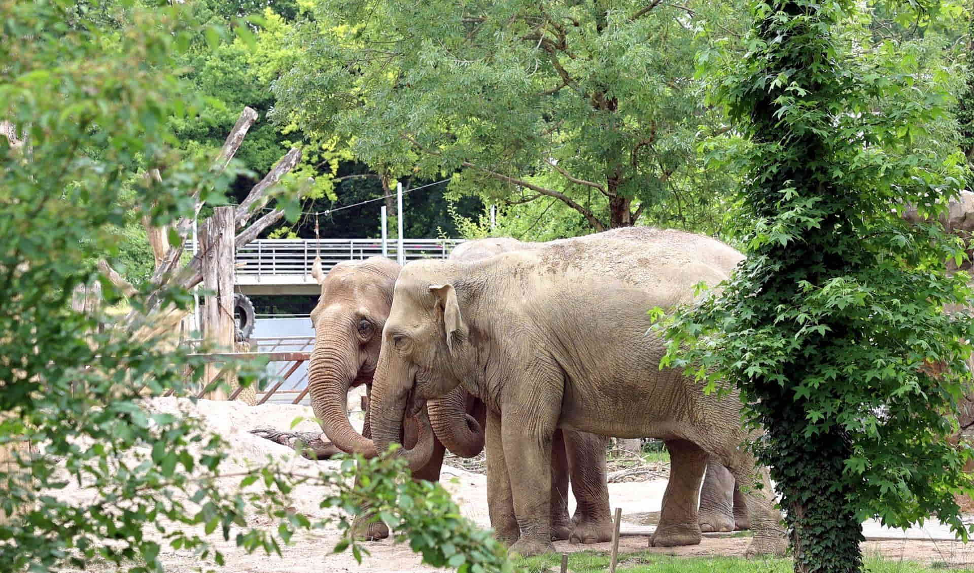 Zoological Gardens Karlsruhe