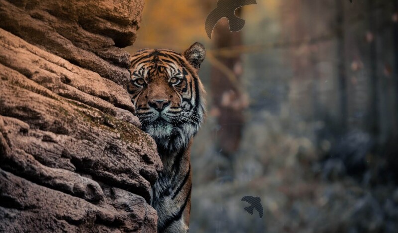 Brno Zoo