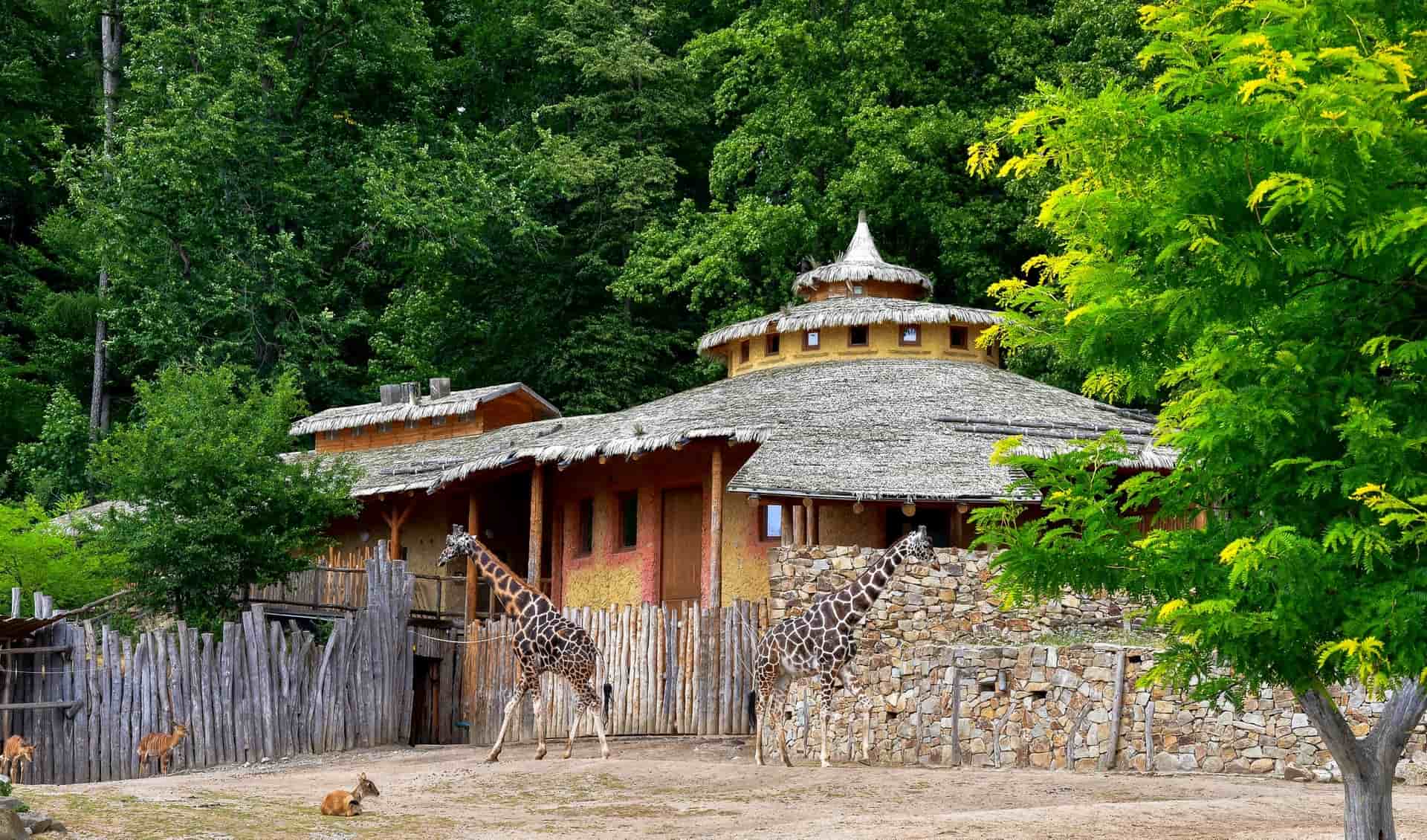 Zoo Jihlava