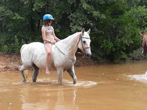 Agave Hurricane Trail Company Camp