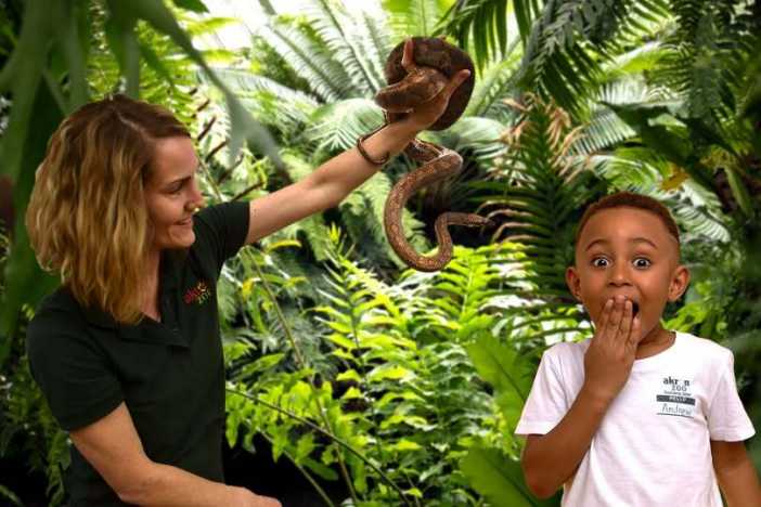 Akron Zoo Summer Camps