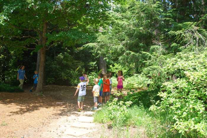 ALDRIDGE BOTANICAL GARDENS SUMMER CAMP