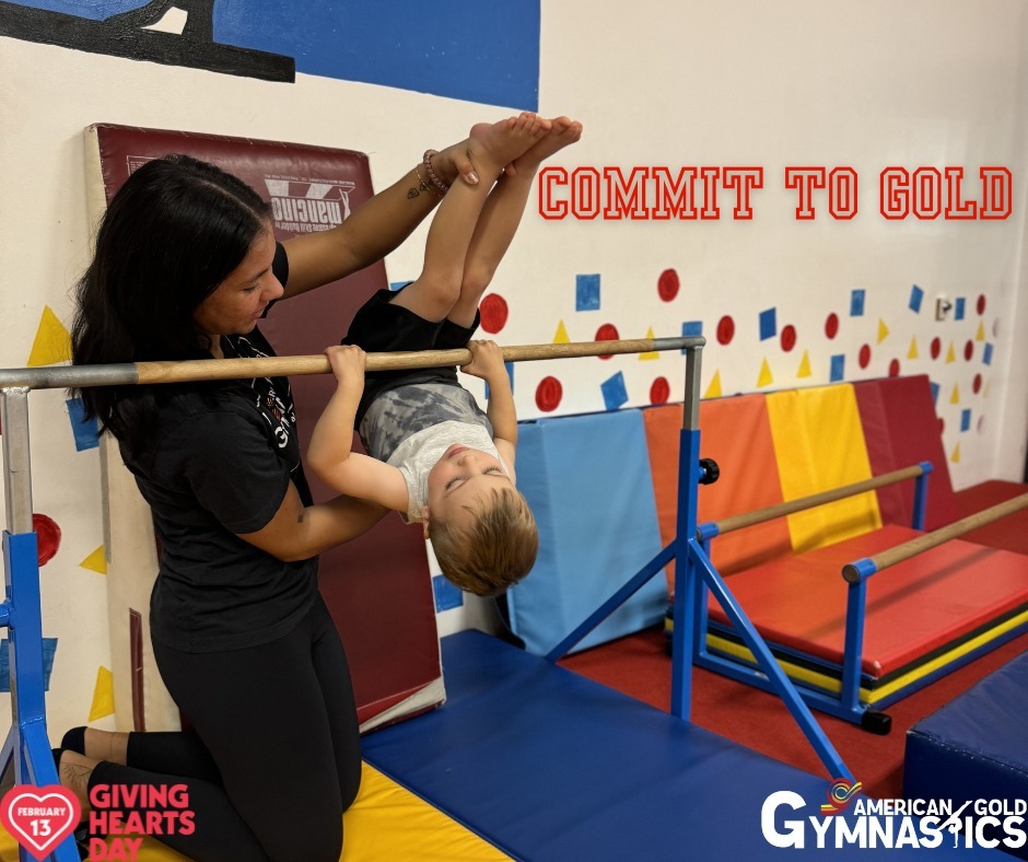 American Gold Gymnastics photo 1