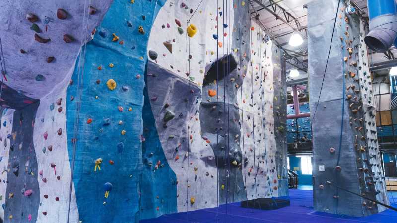 Ape Index Rock Climbing Camp