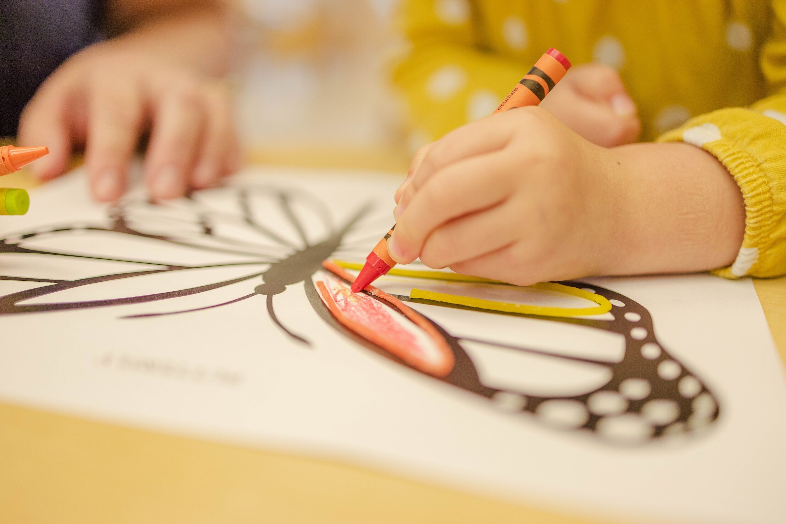 Art Haus Summer Programs