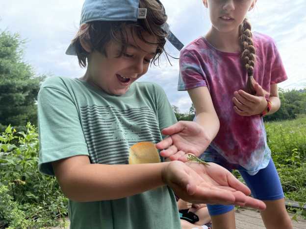 Audubon Center Bent Of The River Summer Day Camp