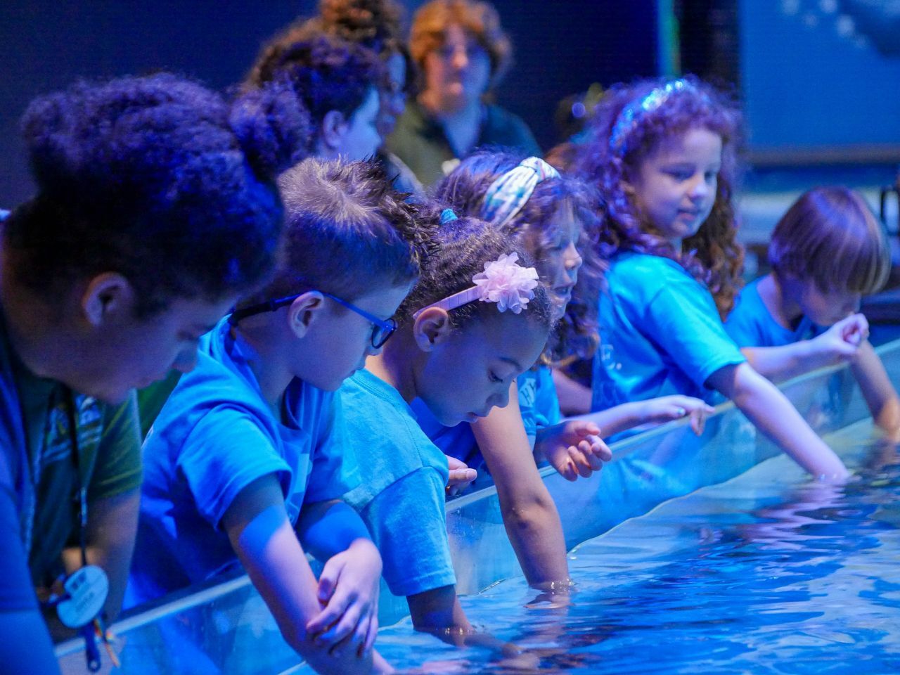 Academy Of The Sacred Heart Summer Camps фото 1