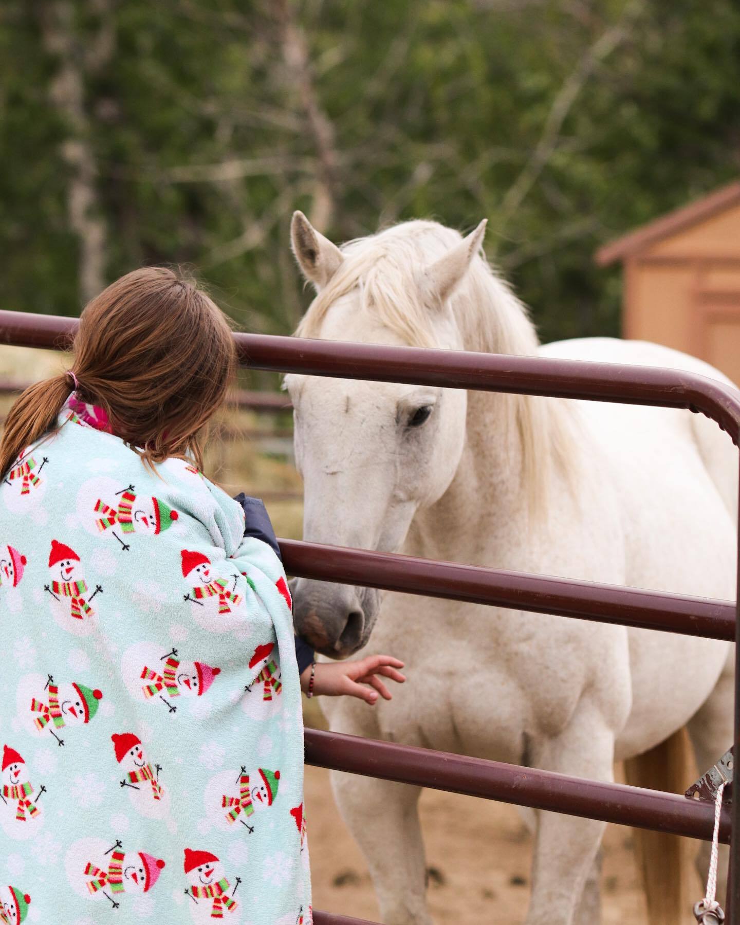 Missoula Best Summer Camp фото 1