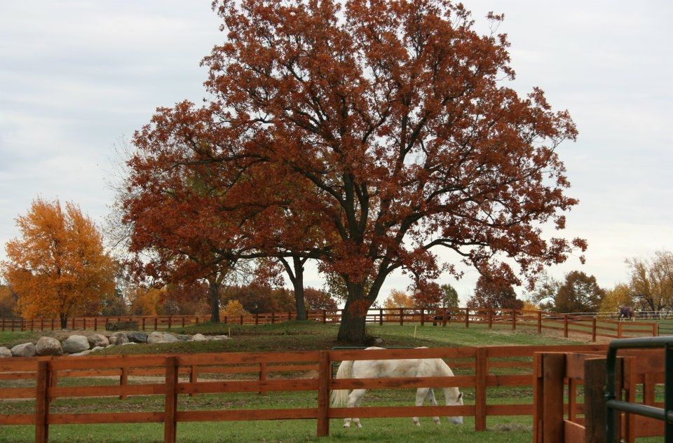 Black River Farm And Ranch фото 1