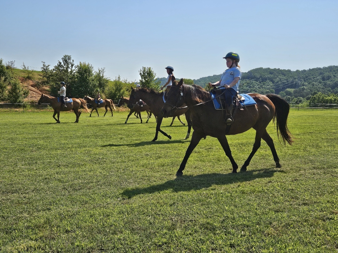 Blue Point Stables Summer Camps photo 1