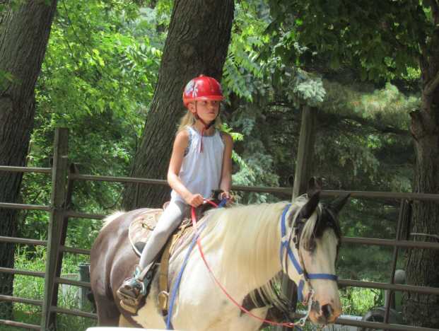 Breezy Bluff Horse Camp