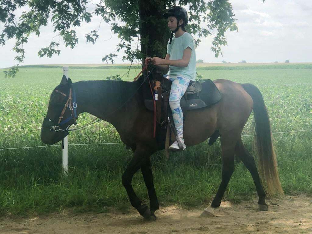 Breezy Bluff Horse Camp фото 1