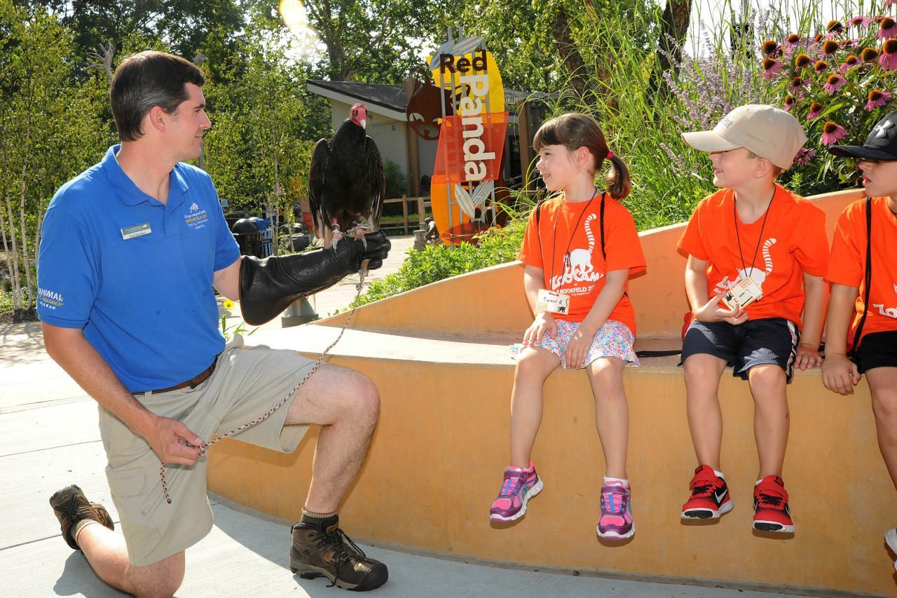 Brookfield Zoo Camp