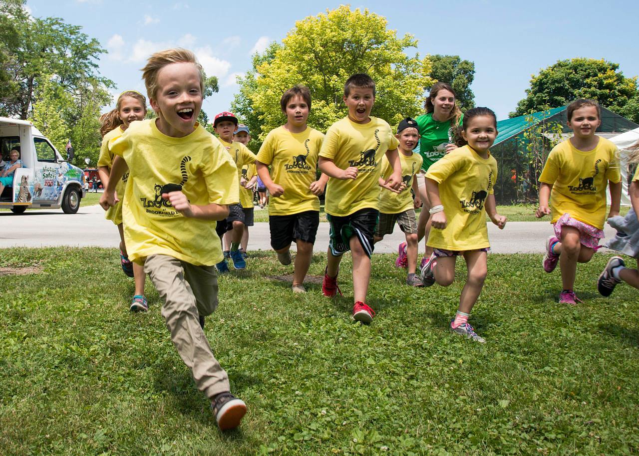 Brookfield Zoo Camp фото 1
