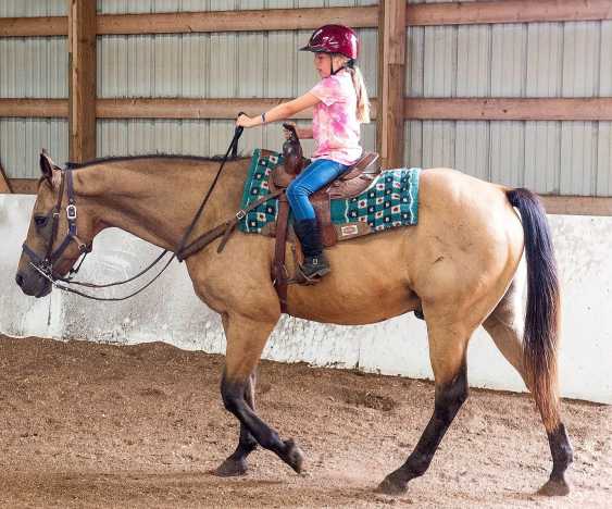 Bunker Park Stable Horse Camp
