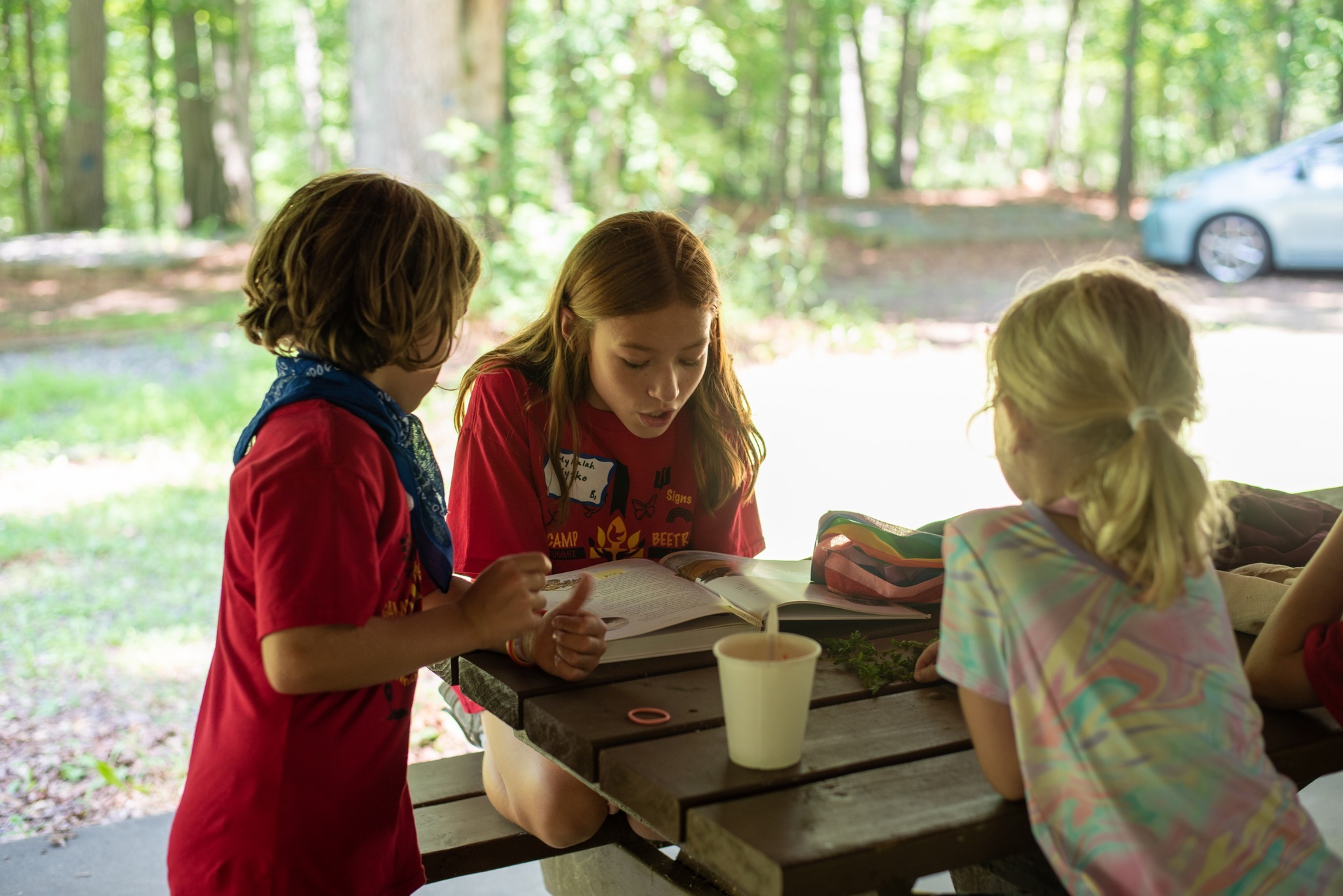 Camp BeeTree Towson