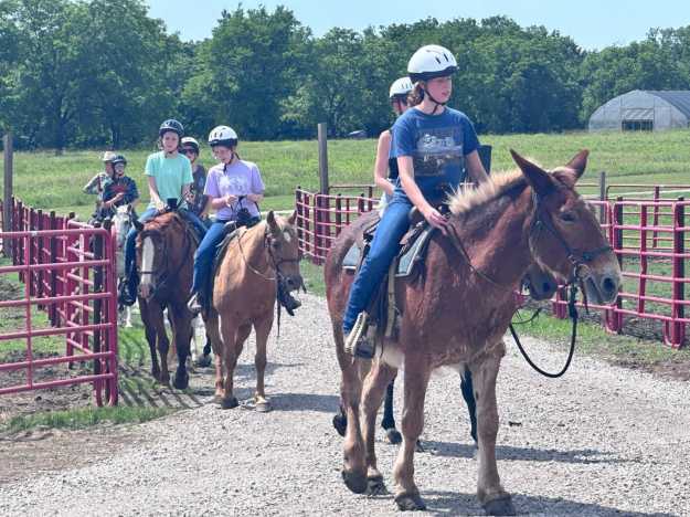 Camp Chippewa United Methodist Camp Retreat