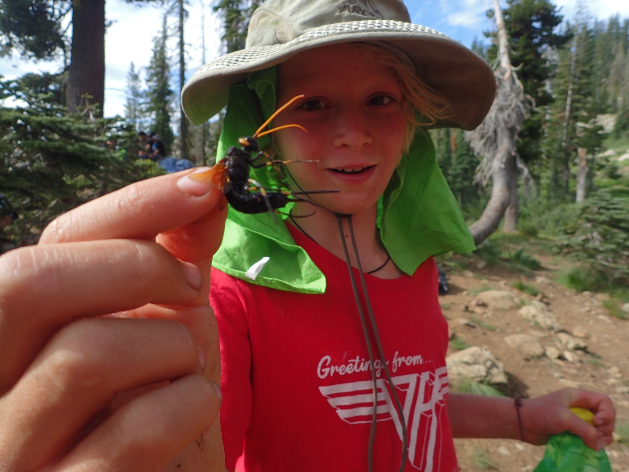 Marple Sports Arena Summer Camp фото 1