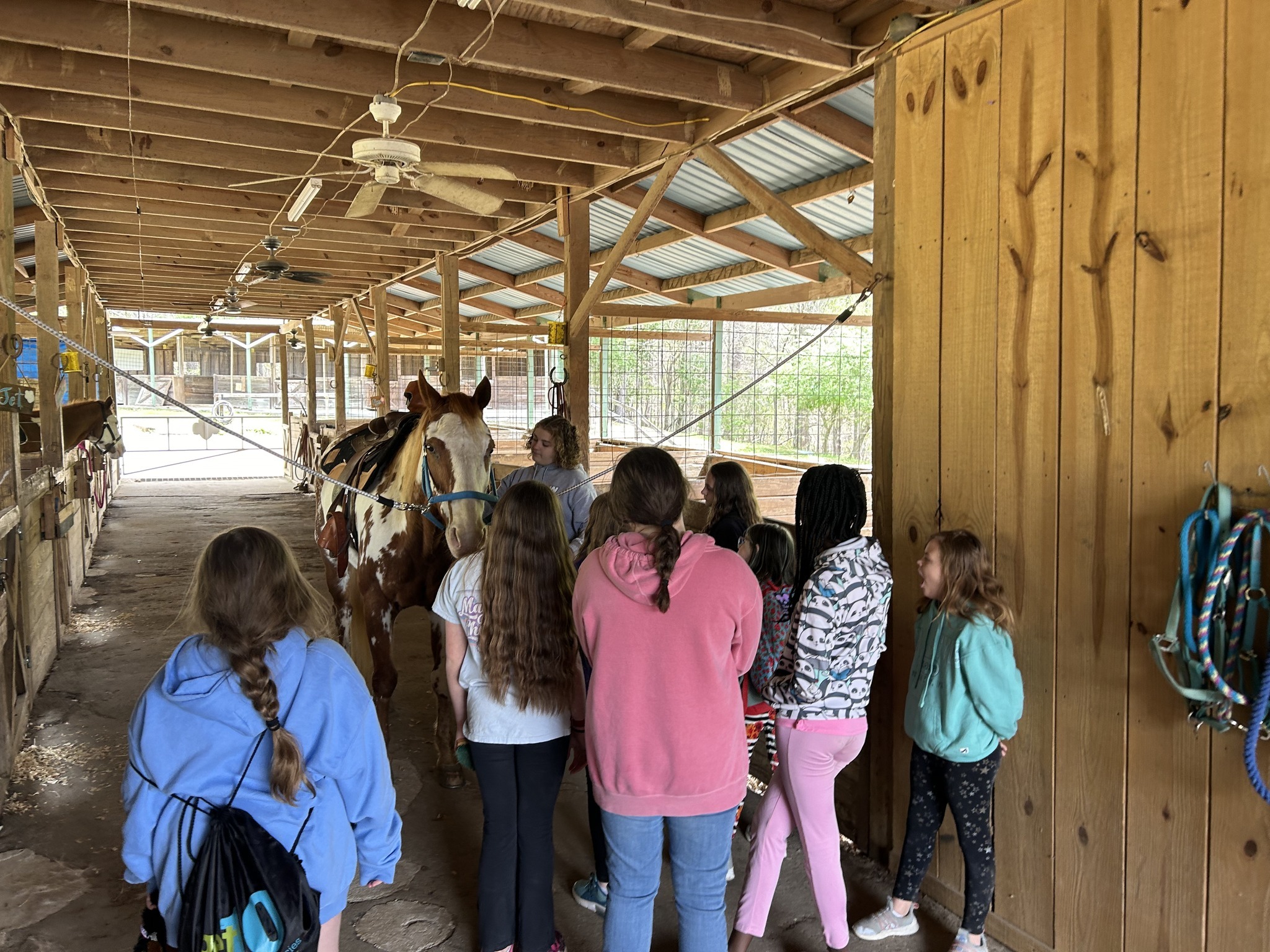 Brandywine Red Clay Alliance Summer Camp фото 1