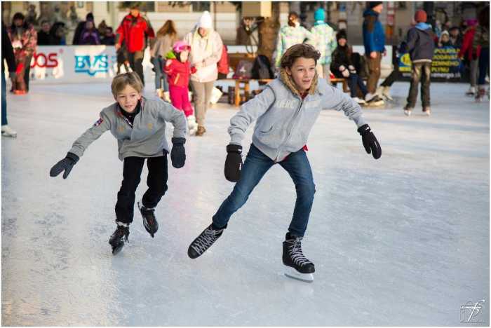 Camp Cool At The Steel Ice Center