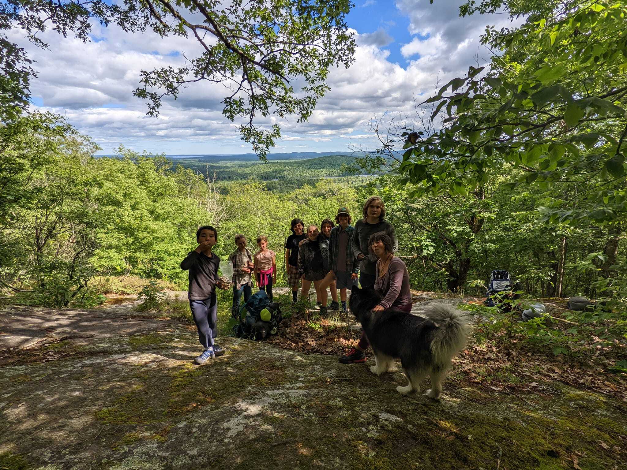 Camp Forest Maine