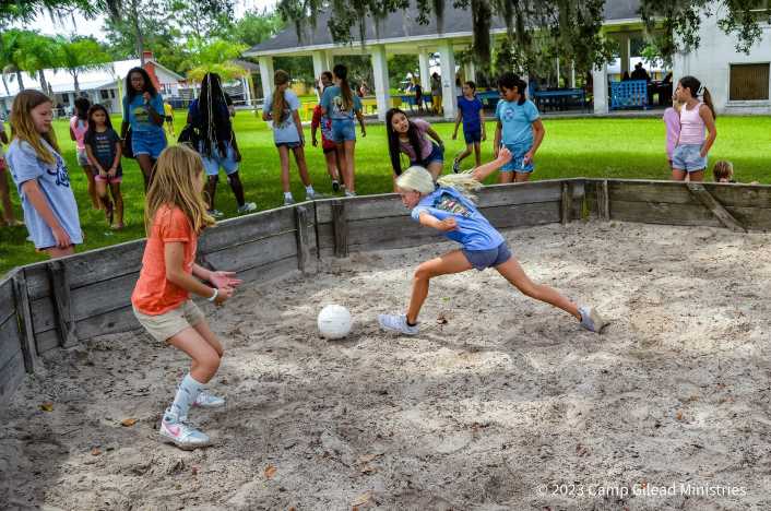 Camp Gilead Carnation