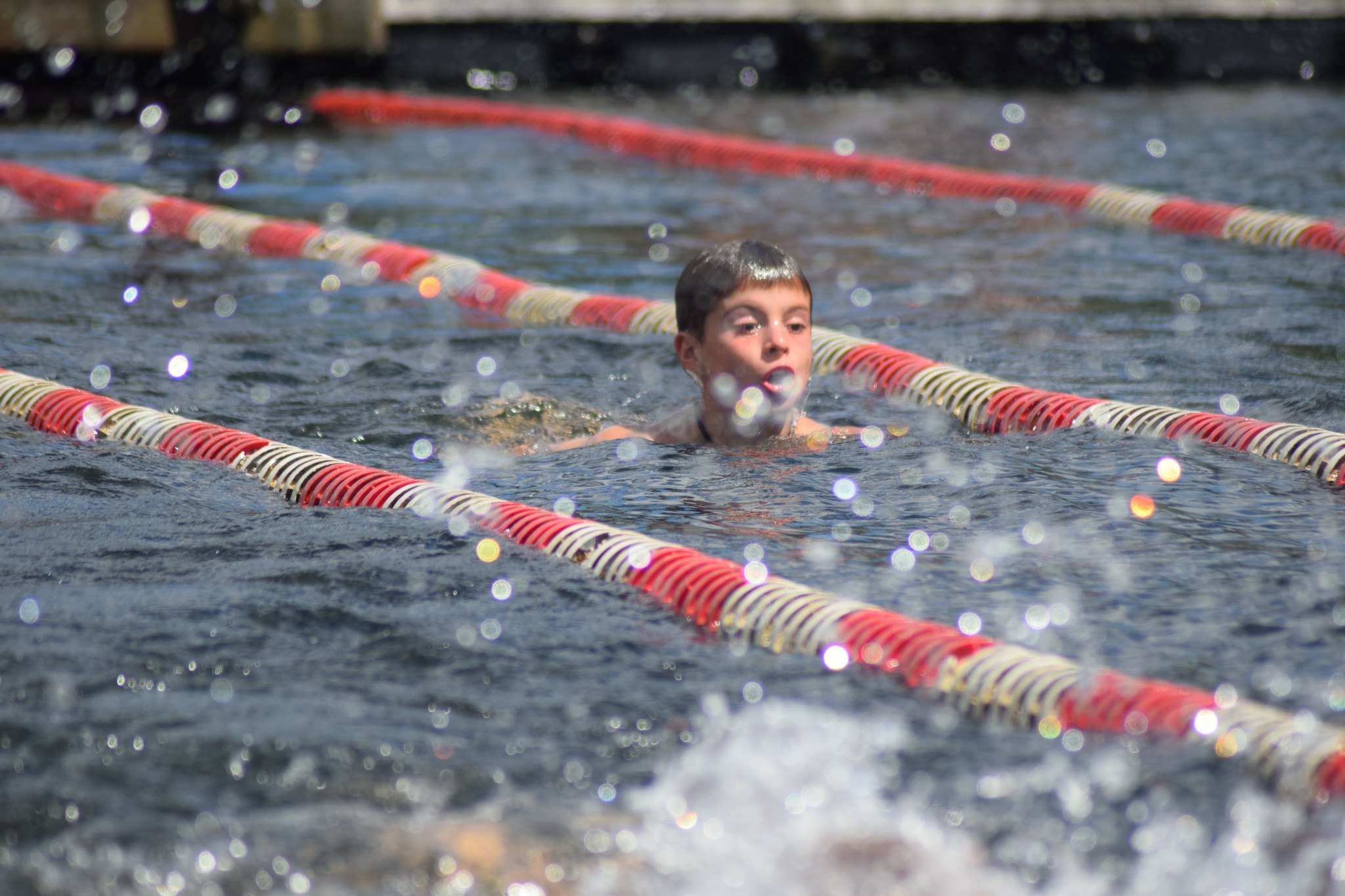 Camp Greylock photo 1