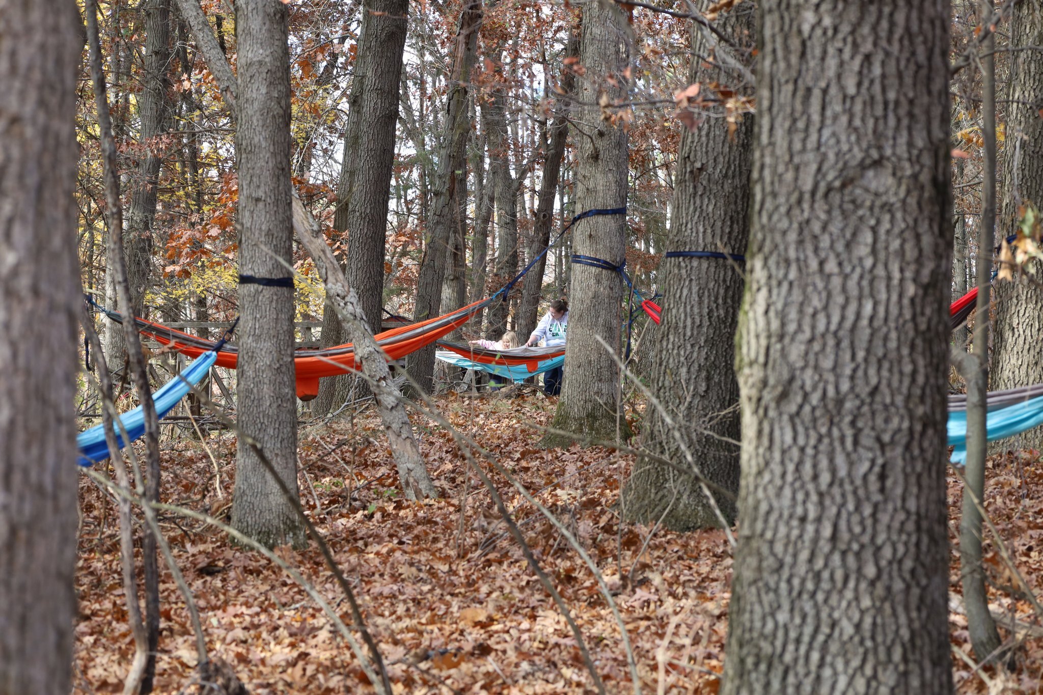 Camp Linden photo 1
