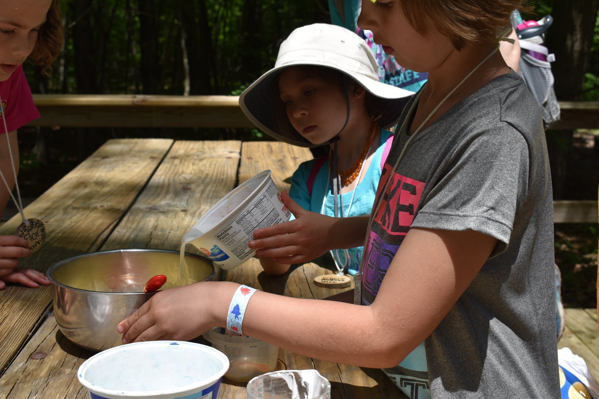 Camp Nesbit