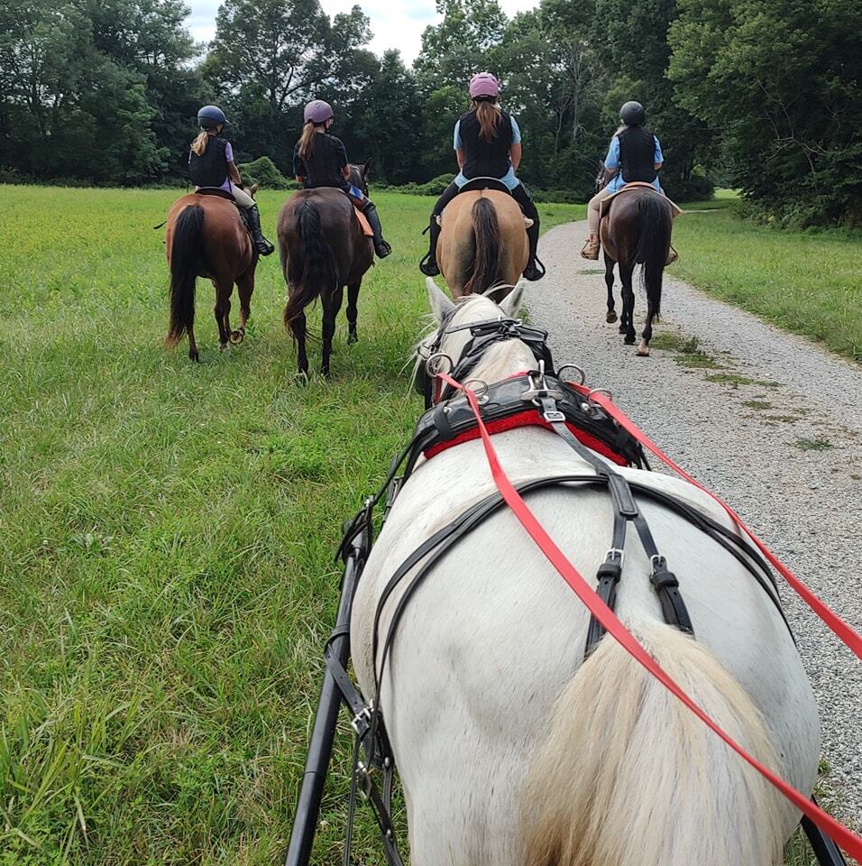 Cedar Farm Summer Camp photo 1