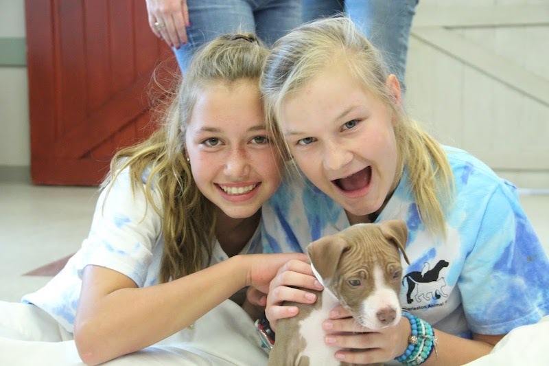 Charleston Animal Society Camps photo 1