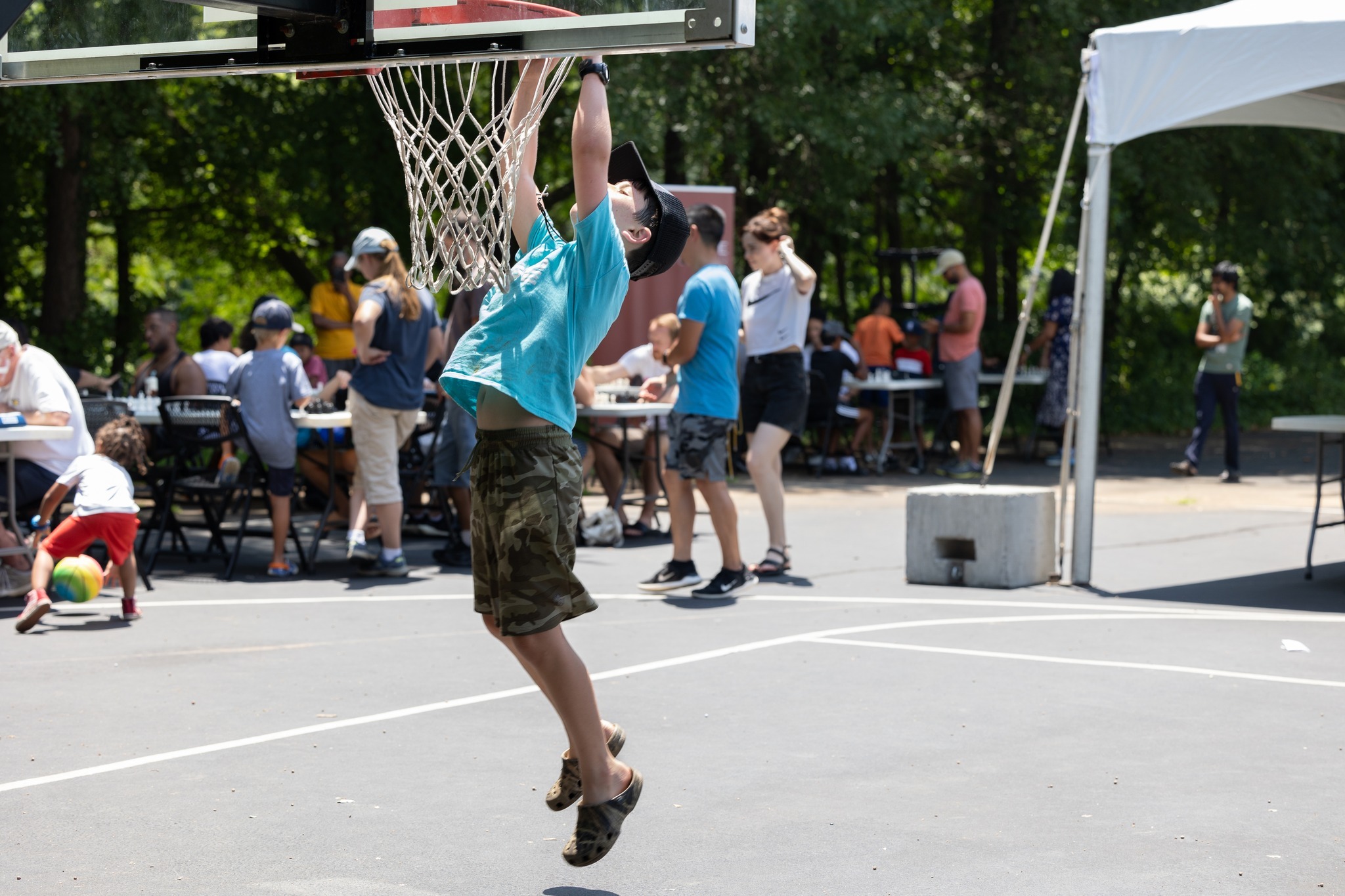 Charlotte Chess Center & Scholastic Academy photo 1