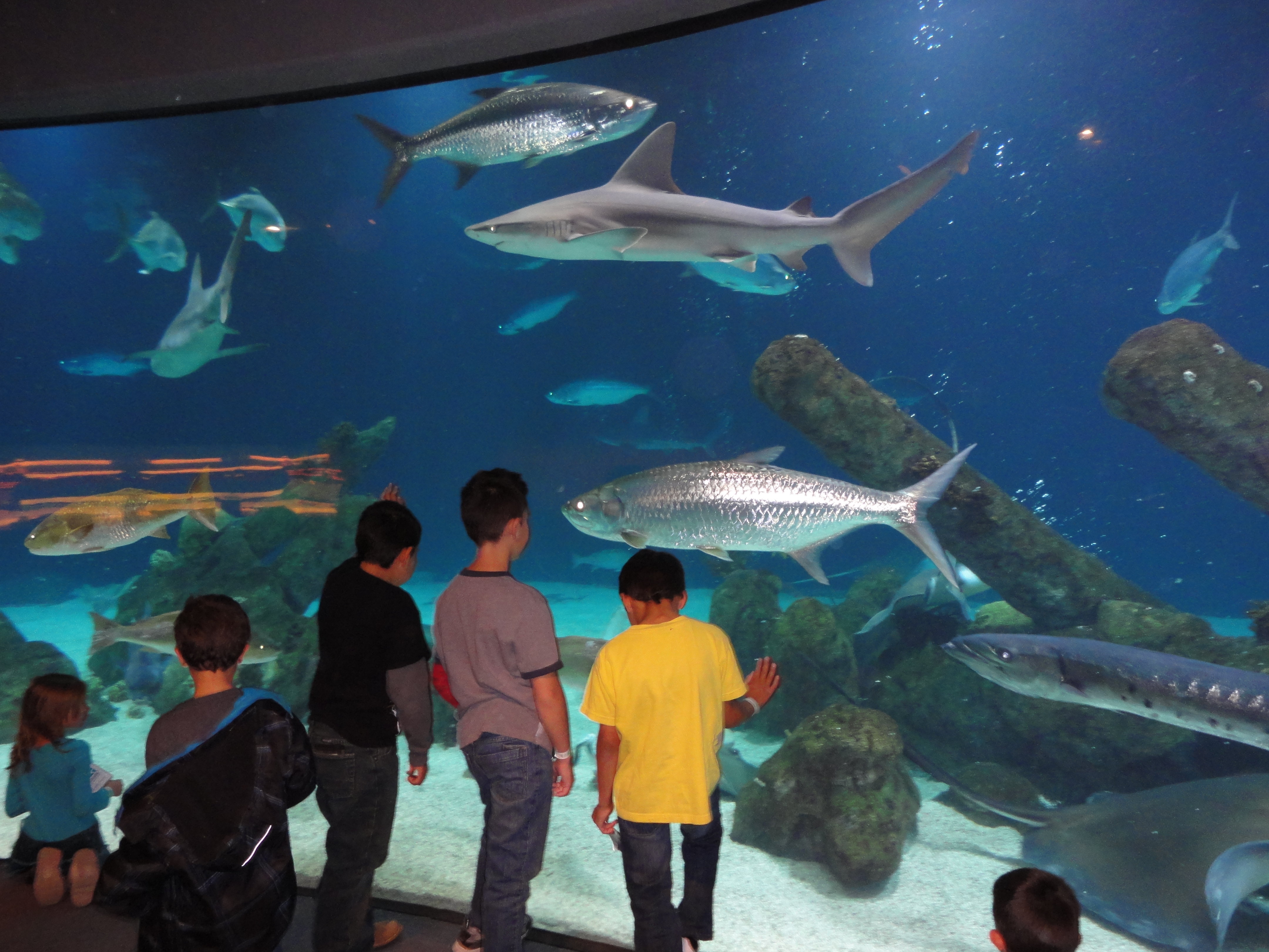 Childrens Choice Arts Camp photo 1